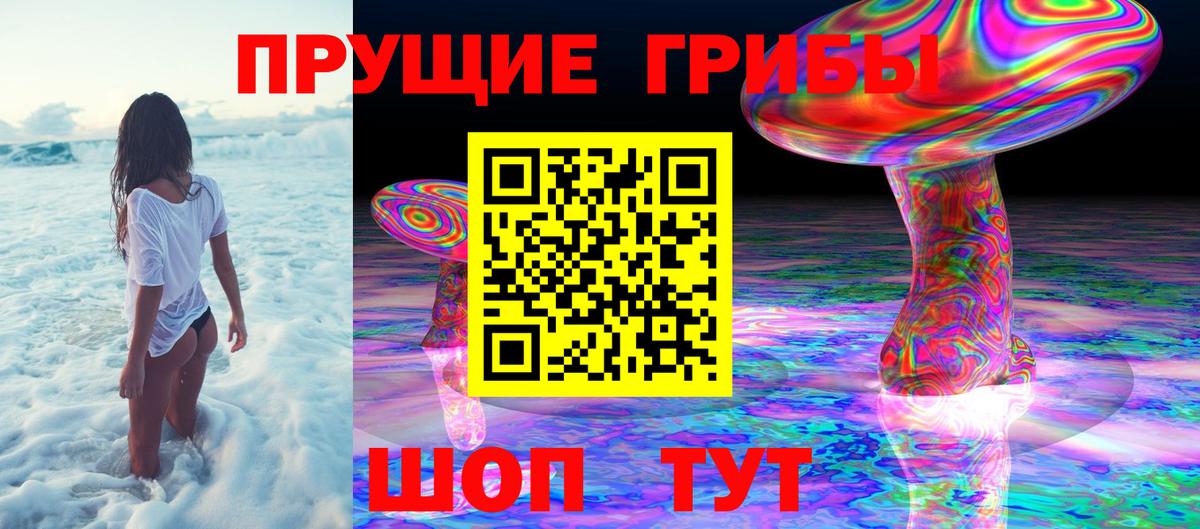 Псилоцибиновые грибы прущие грибы Воткинск